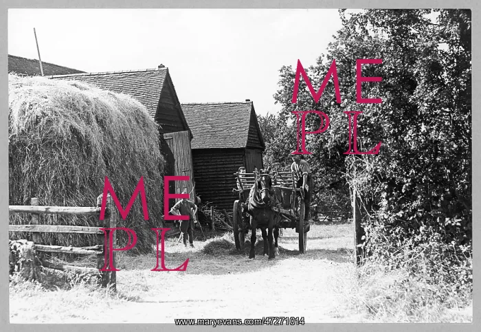 : FARMERS AT HOLMER GREEN : FARMERS AT HOLMER GREEN