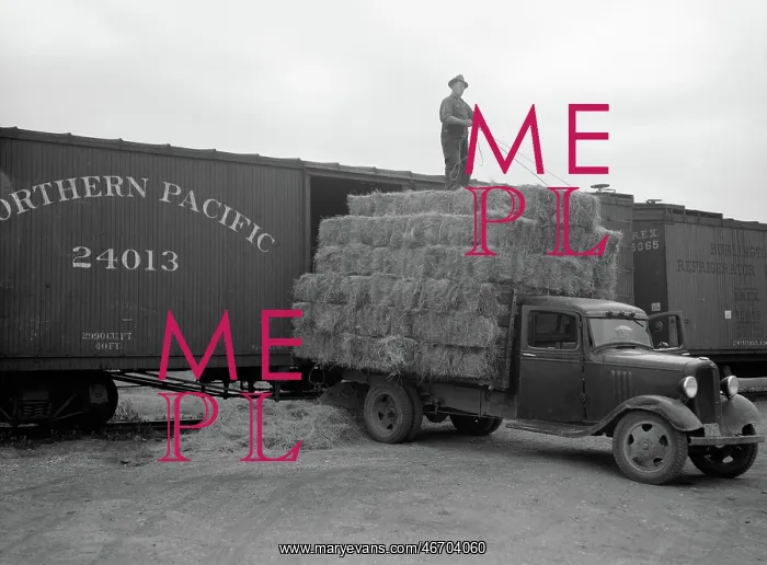 : Farmers - Occupations - Hay : Farmers - Occupations - Hay