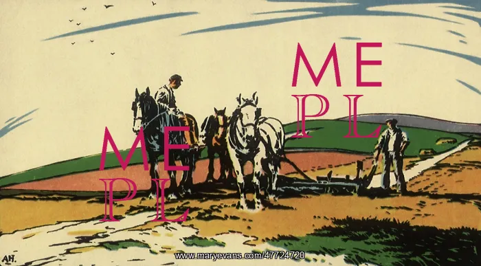  : Farmers Ploughing Field