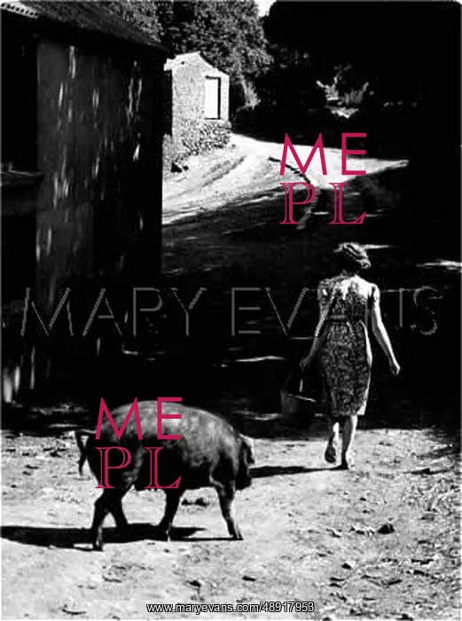 : FARMER'S WIFE & PIG : FARMER'S WIFE & PIG
