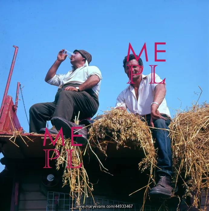 : Two farmhands at harvest time : Two farmhands at harvest time
