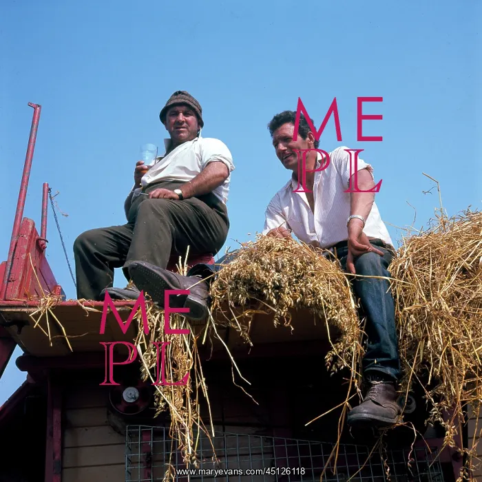 : Two farmhands at harvest time : Two farmhands at harvest time