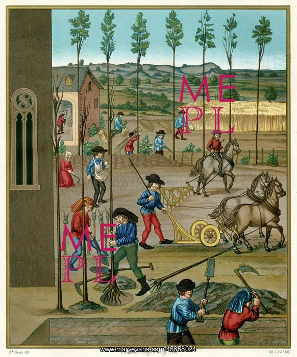 : FARMING 15TH CENTURY : FARMING 15TH CENTURY