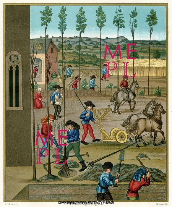 : FARMING 15TH CENTURY : FARMING 15TH CENTURY