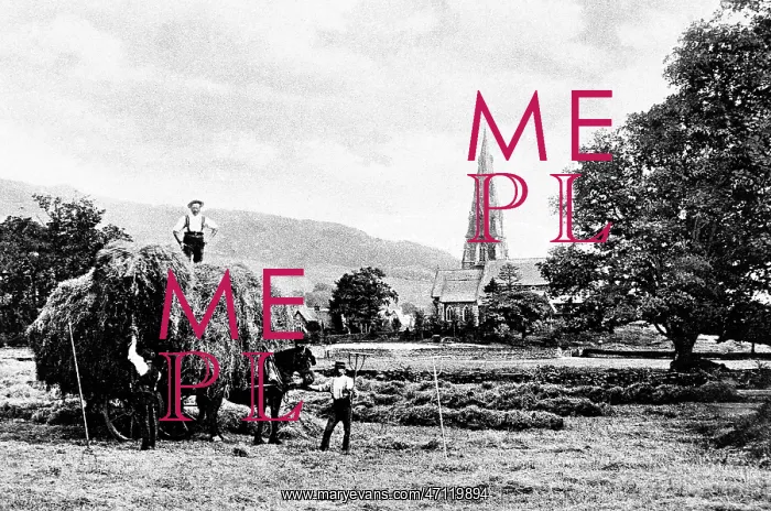  : Farming in Ambleside
