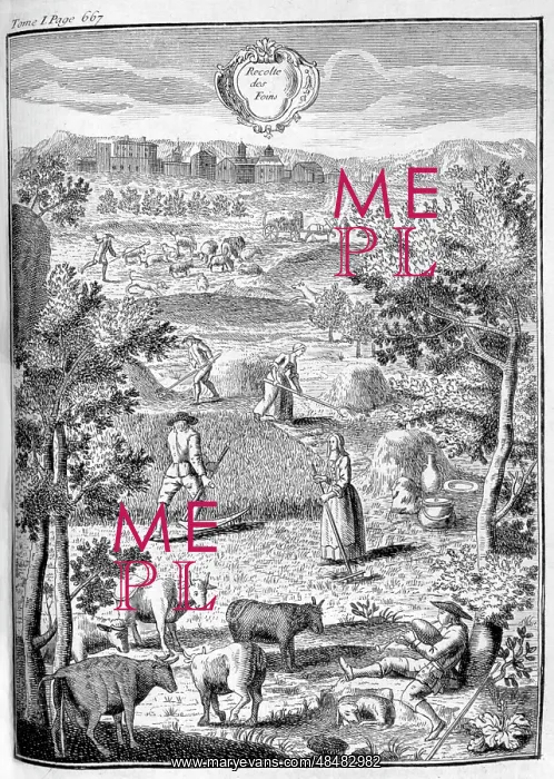 : Farming and ciltivation scene, from the 1775 edition : Farming and ciltivation scene, from the 1775 edition
