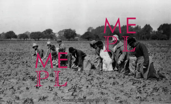  : Farming, Essex