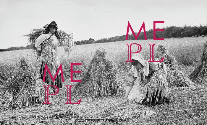  : Farming - Gathering the hay Victorian period