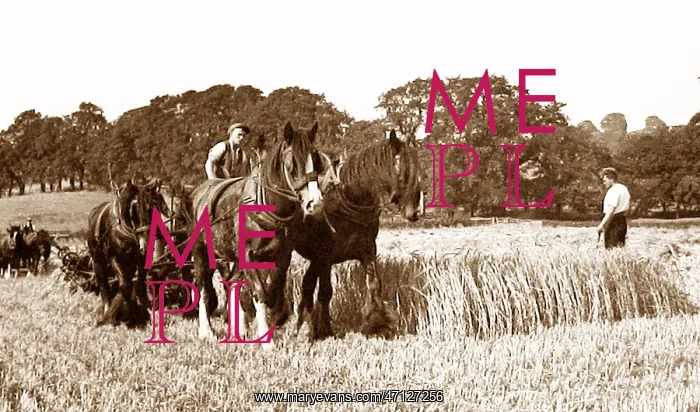  : Farming in Little Weighton