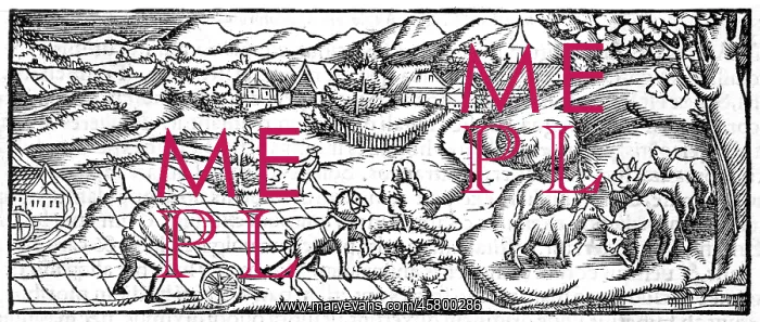 : FARMING IN MIDDLE AGES : FARMING IN MIDDLE AGES