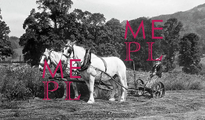  : Farming - Mowing machine Victorian period