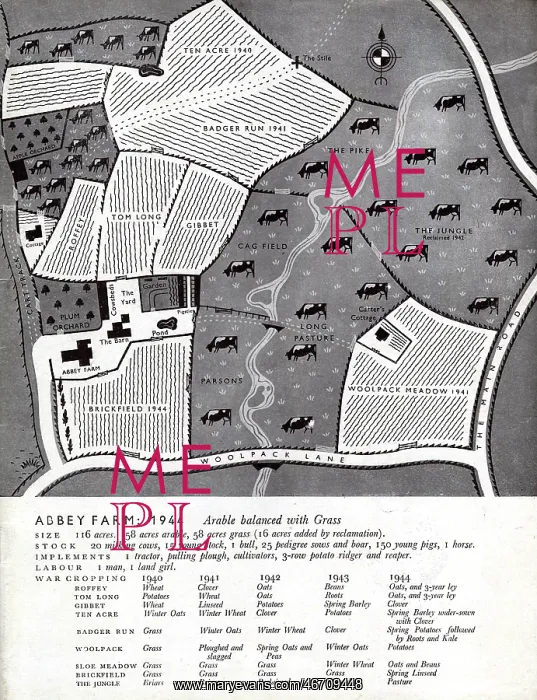 : Farming pre-war in 1944 - layout of fields and crops (2 / 2) : Farming pre-war in 1944 - layout of fields and crops (2 / 2)