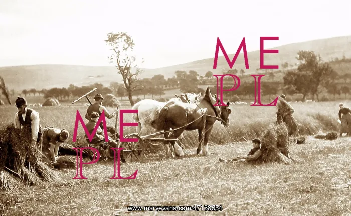  : Farming (reaping)