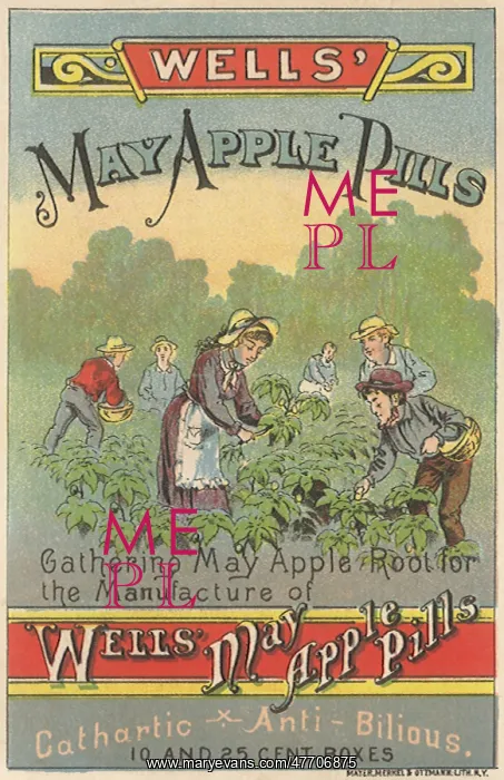  : Farming Roots