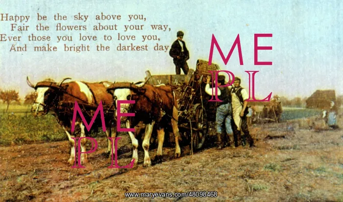 : Farming scene on a birthday card : Farming scene on a birthday card