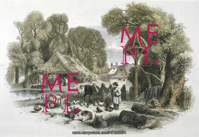 : FARMYARD, 1860 : FARMYARD, 1860