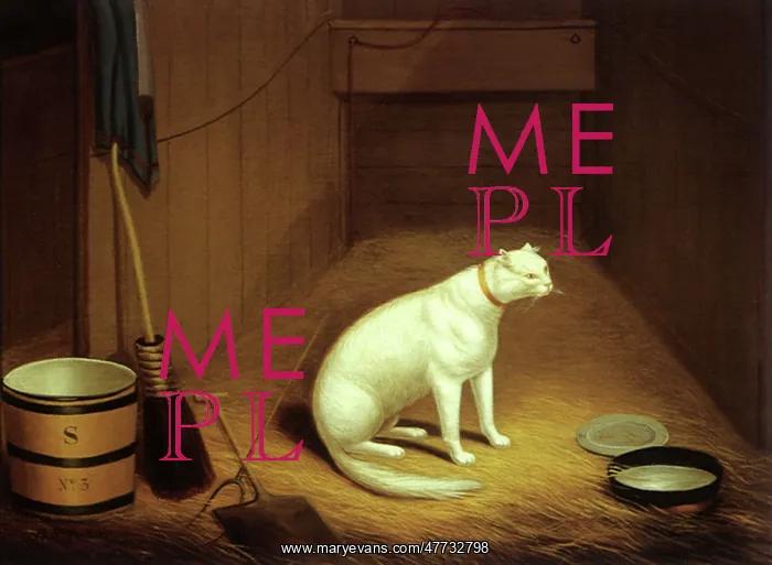  : A Farmyard Cat in a Stable