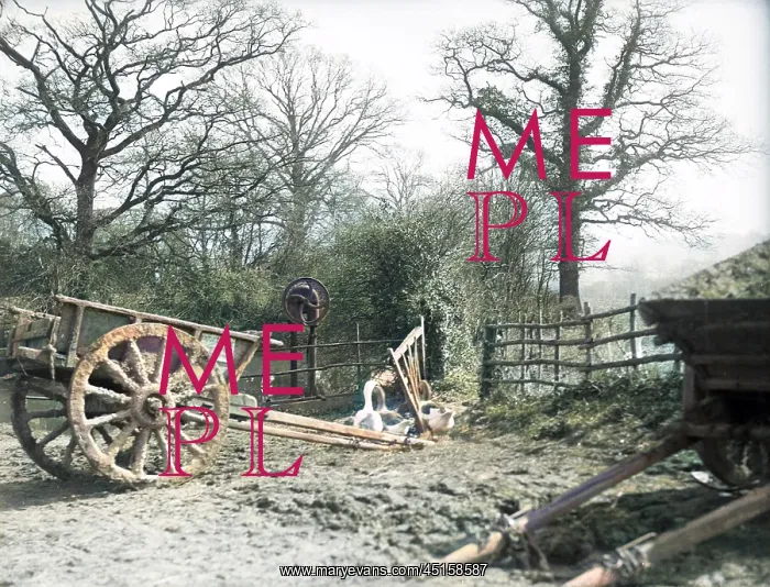 : FARMYARD SCENE : FARMYARD SCENE