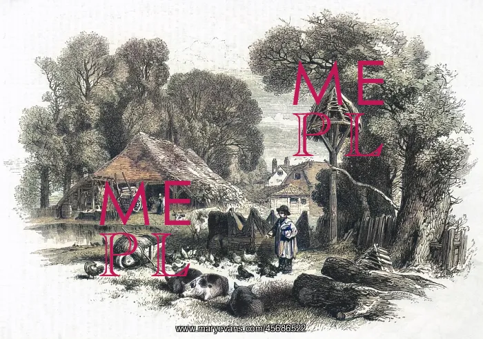 : Farmyard scene, c. 1860 : Farmyard scene, c. 1860