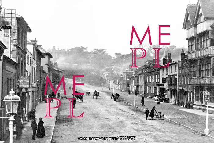  : Farnham Castle Street early 1900s