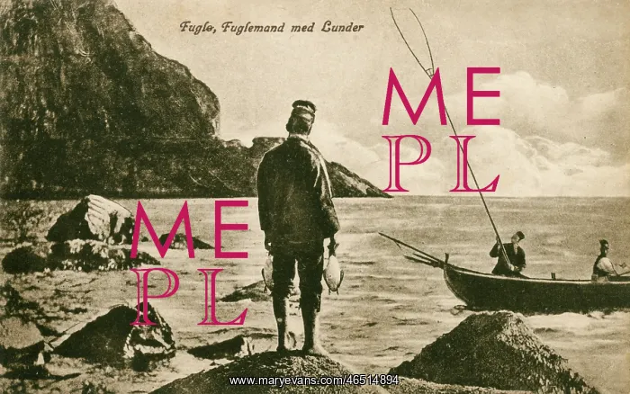 : Faroe Islands, Denmark - Catching puffins : Faroe Islands, Denmark - Catching puffins