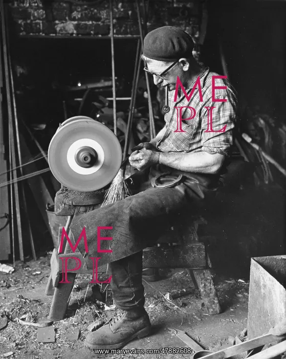 : A Farrier grinding down a horseshoe : A Farrier grinding down a horseshoe