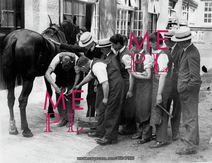 : Farrier school : Farrier school