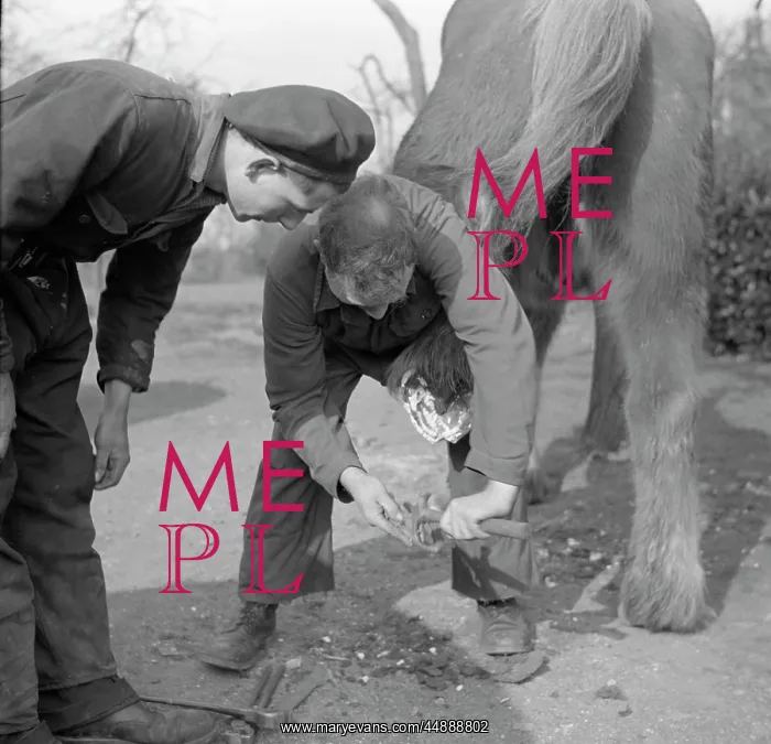 : A Farrier at work, Worcestershire : A Farrier at work, Worcestershire