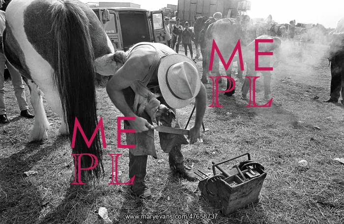 : Farriers, Appleby Horse Fair : Farriers, Appleby Horse Fair