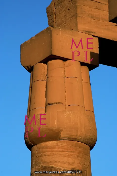 : Fasciculatesd columns with papyrus capitals of hypostyle. Lu : Fasciculatesd columns with papyrus capitals of hypostyle. Lu