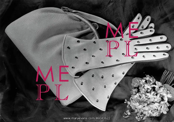 : Fashion accessories : Fashion accessories