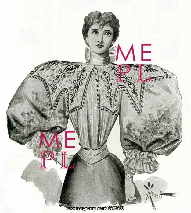 : Fashionable blouse 1895 : Fashionable blouse 1895