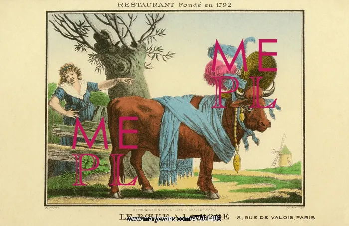 : The fashionable bull : The fashionable bull