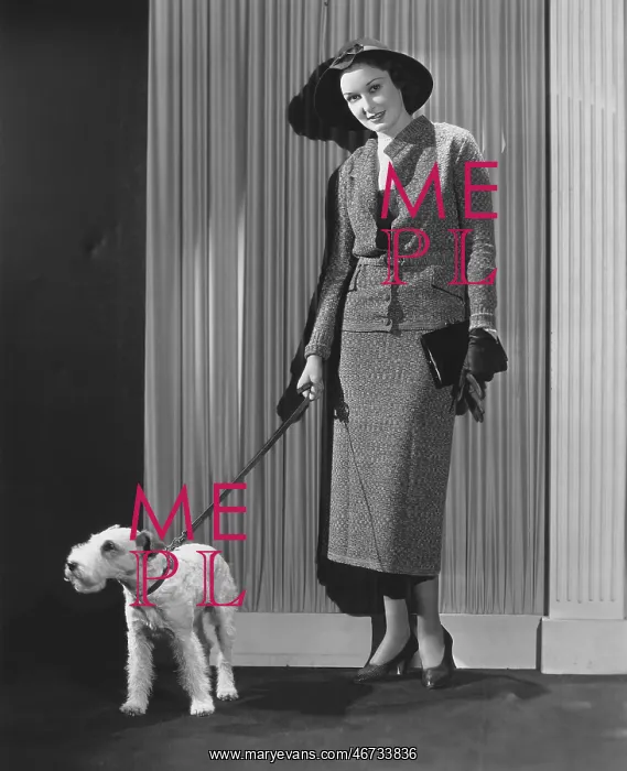 : Fashionable dog walker : Fashionable dog walker