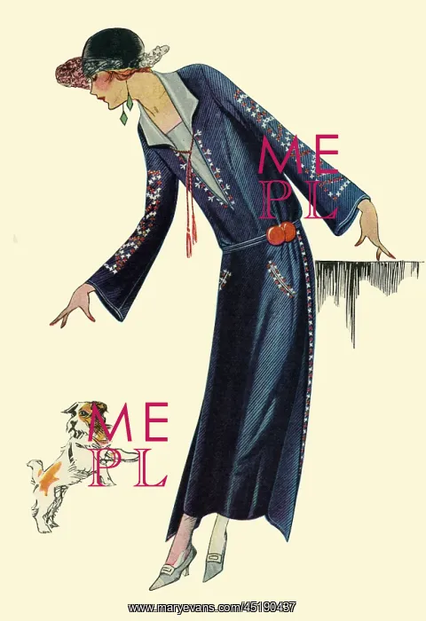  : Fashionable dress