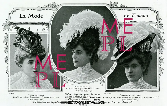 : Fashionable hats of 1906 : Fashionable hats of 1906
