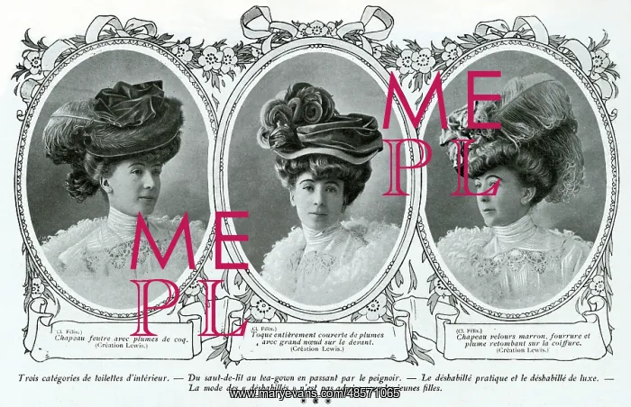 : Fashionable hats of 1906 : Fashionable hats of 1906