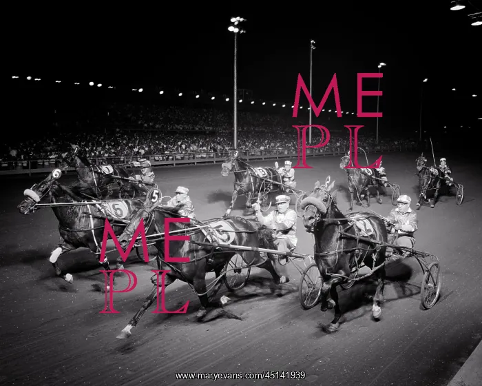 : Fast Moving Pacing Horses in Harness Racing Event : Fast Moving Pacing Horses in Harness Racing Event