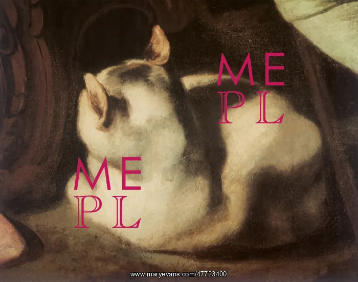  : Fat Cat under a Table