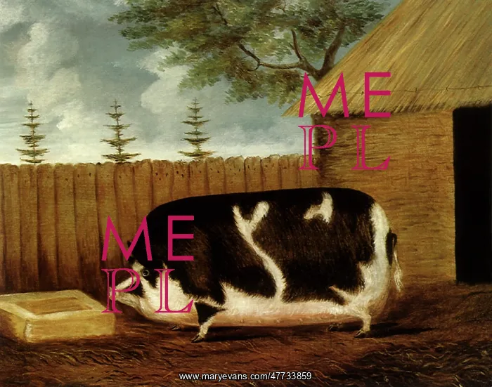 : A Fat Pig : A Fat Pig