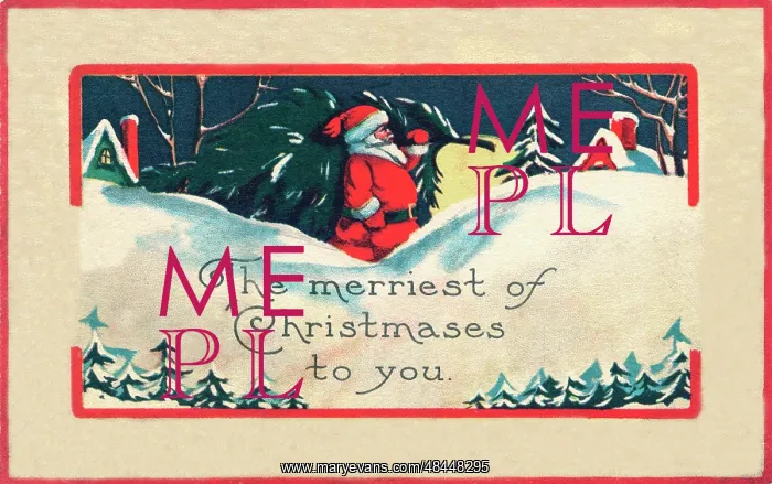 : Father Christmas carrying a Christmas tree : Father Christmas carrying a Christmas tree