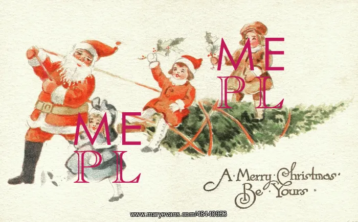 : Father Christmas pulls along tree and children