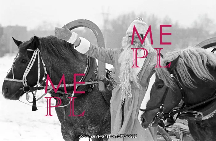: Father Frost with harnessed horses, 1983 : Father Frost with harnessed horses, 1983