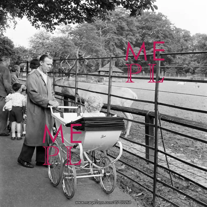 : Father with pram : Father with pram