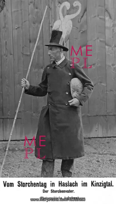 : Father Stork in Baden, 1908 : Father Stork in Baden, 1908