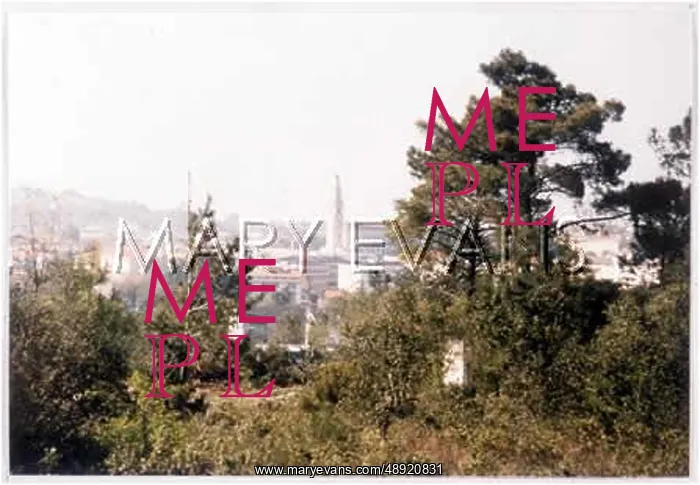  : FATIMA VIEW OF TOWN 1986