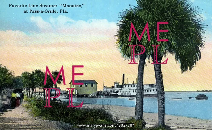 : Favorite Line Steamer Manatee, Pass-a-GrilleBeach, Florida : Favorite Line Steamer Manatee, Pass-a-GrilleBeach, Florida