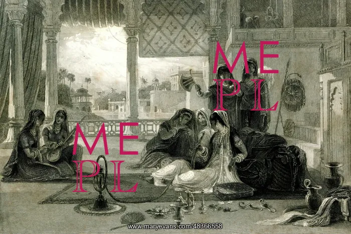  : The Favourite of the Harem