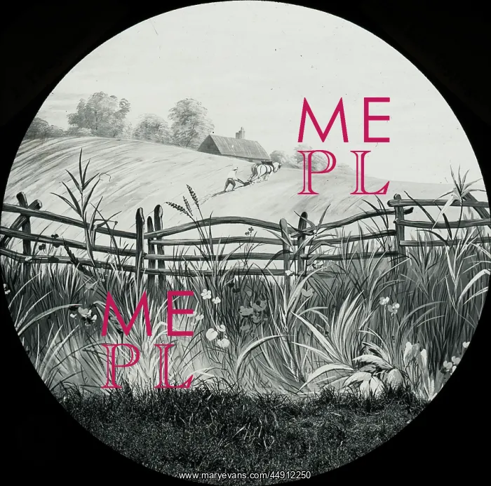 : Favourite Sayings - No plough, many weeds : Favourite Sayings - No plough, many weeds