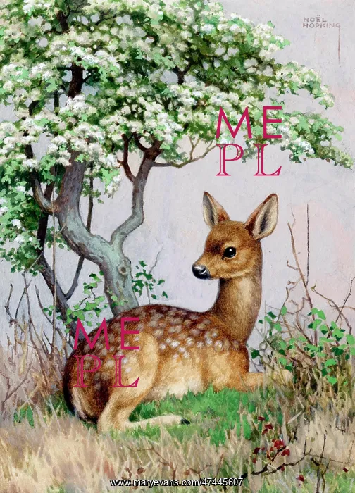  : A Fawn under a tree